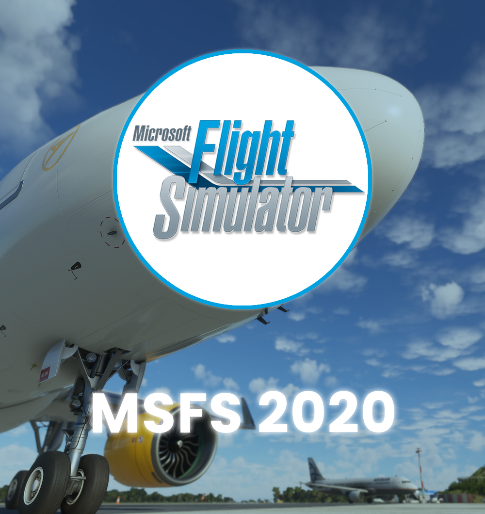 FLIGHT SIMULATOR 2020.